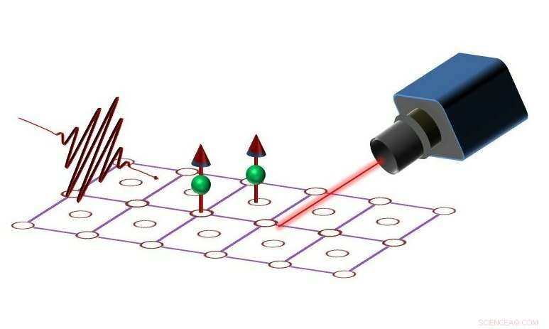 Quantum Vision Could Revolutionize Magnetic Storage Technology