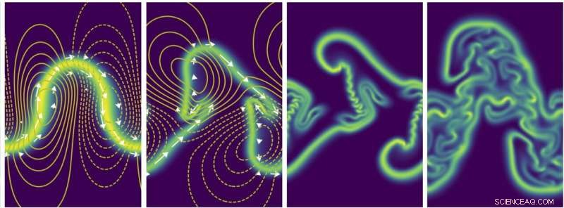 Microbial Swimmers Organize Into Mathematical Patterns