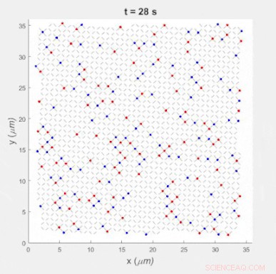 Tracking Magnetic Monopoles: Detecting Elusive Particles in Action
