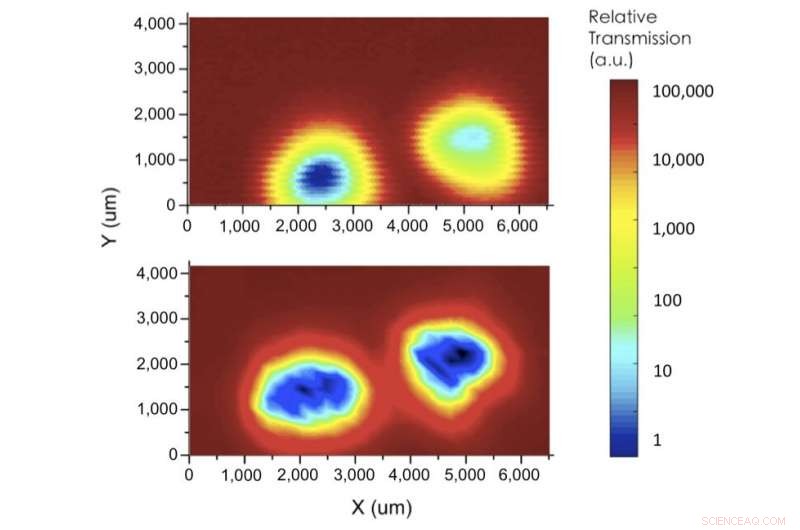 Scientists Unveil Tunable Terahertz Bio‑Imaging Device Using Advanced Plasmonics