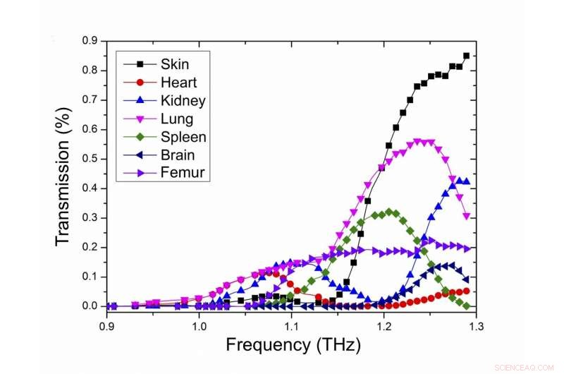 Scientists Unveil Tunable Terahertz Bio‑Imaging Device Using Advanced Plasmonics