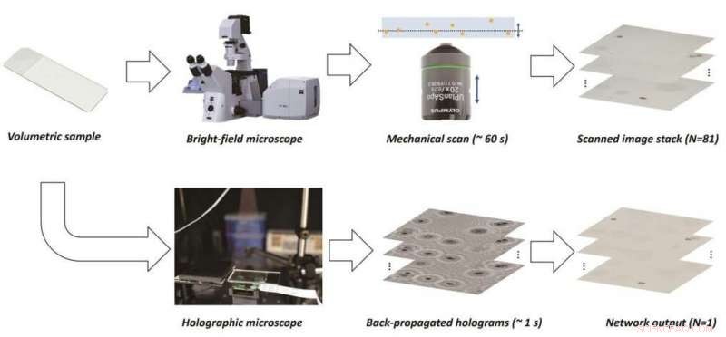 Revolutionizing 3‑D Microscopy: Deep Learning Unites Holography and Bright‑Field Techniques