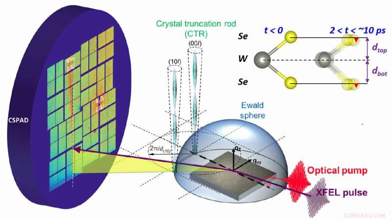 Revolutionary Ultrafast Technique Enables Detailed Analysis of Two-Dimensional Materials