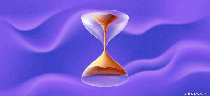 Scientists Reverse Time in Quantum Computer Experiments