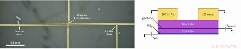 Quantum‑Critical Conductivity of Graphene’s Dirac Fluid: Insights from Terahertz Spectroscopy