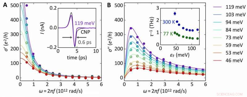 Quantum‑Critical Conductivity of Graphene’s Dirac Fluid: Insights from Terahertz Spectroscopy