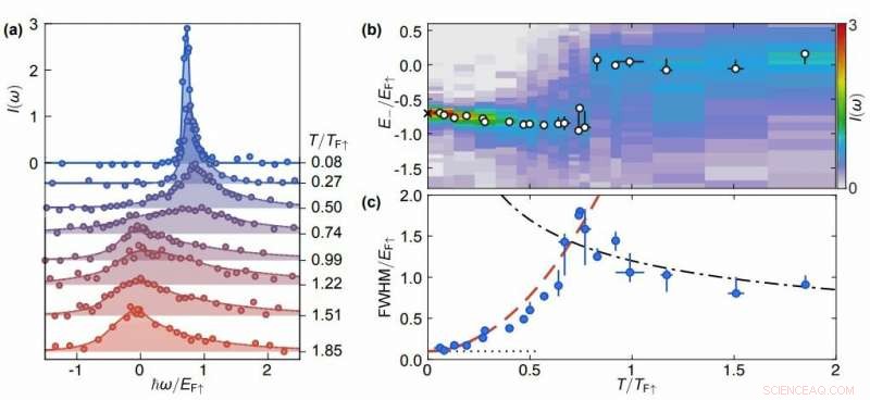 Unveiling Gas Dynamics: From Quantum to Classical Transitions