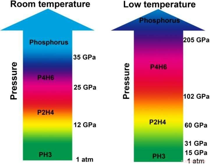 Exploring Superconductivity in Phosphine Compounds: P2H4 and P4H6 Under High Pressure