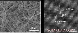 Semimetals: Exceptional Conductivity in 2D Nanobelts