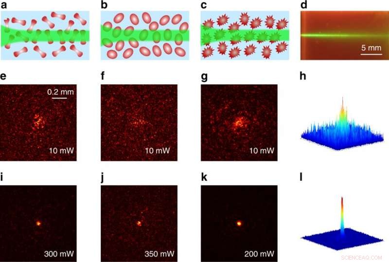 Optical Force Drives Self-Guided Light Through Human Red Blood Cell Suspensions