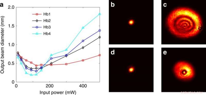 Optical Force Drives Self-Guided Light Through Human Red Blood Cell Suspensions