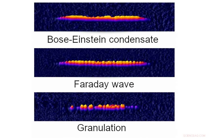 Matter Waves and Quantum Splinters: Dynamics of Shaken Bose‑Einstein Condensates