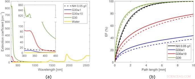 Innovative Coffee-Derived Colloids for Efficient Direct Solar Absorption