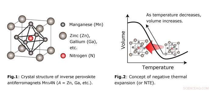 Unveiling the First-Ever Explanation of Magnetism-Driven Negative Thermal Expansion