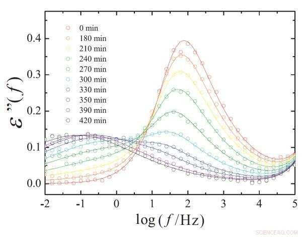 Rapid Dielectric Loss Evolution Reveals Liquid–Liquid Transition Dynamics in Triphenyl Phosphite