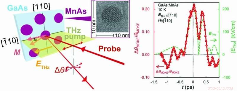 Ultrafast Spintronics Powered by Ferromagnetic Nanoparticle Systems