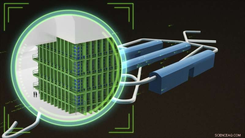 Neutrinos: The Silent Messengers of Supernovae