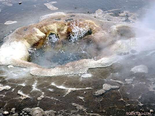 Stable Majorities: How Consistent Support Shapes Outcomes