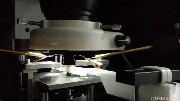 Plasmonic‑Driven Atomic Switches: Light‑Controlled Metal Contact Points