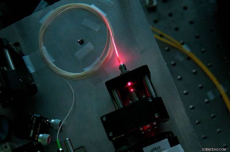 Enhancing Cybersecurity: Photons Navigate Optical Fibre Pathways for Robust Defense