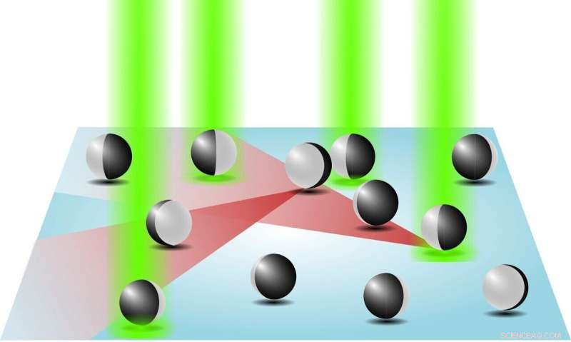 Microscopic Swimmers Use Visual Cues to Form Stable Swarms