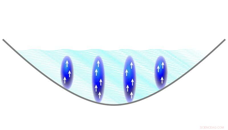 Independent Experiments Confirm Dipolar Quantum Gases Exhibit Supersolid Behavior
