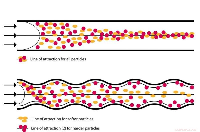 Physicists Uncover New Technique to Distinguish Sick from Healthy Blood Cells