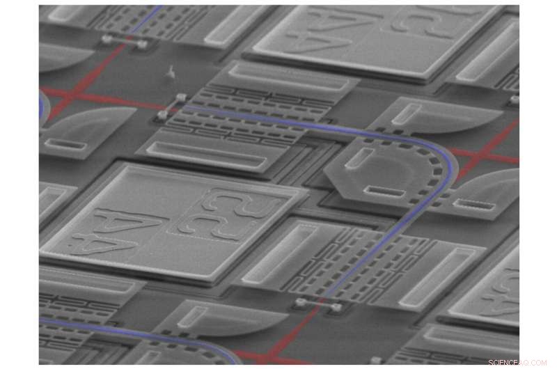 Record-Breaking Micro‑Switch Array Boosts Optical Communication Speed
