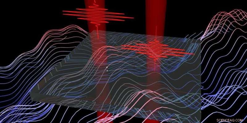 Exploring Vacuum Fluctuations: Unveiling Quantum Field Dynamics