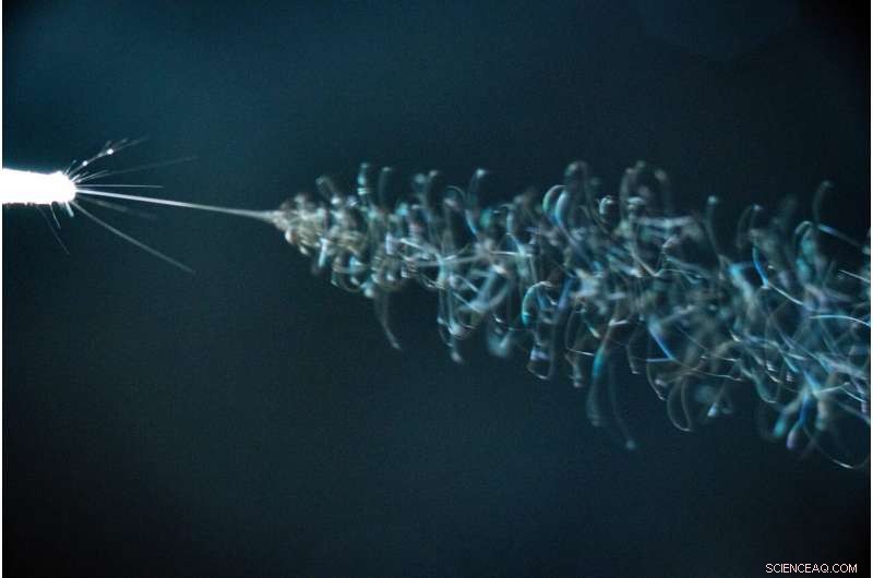 Revolutionizing Accelerator Targets with Advanced Electrospinning