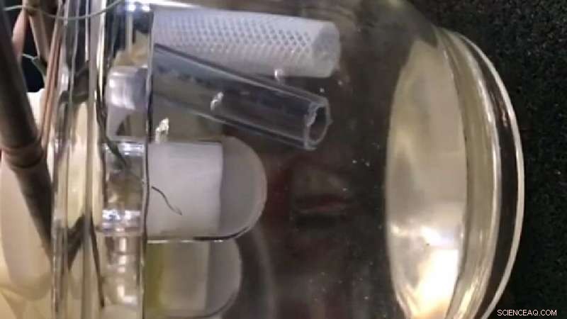 Snowball Chamber Enables Supercooled Water Experiments to Detect Dark Matter