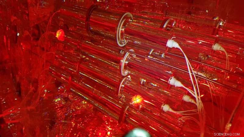 Pioneering Direct Search for Inelastic Boosted Dark Matter Using a Terrestrial Detector