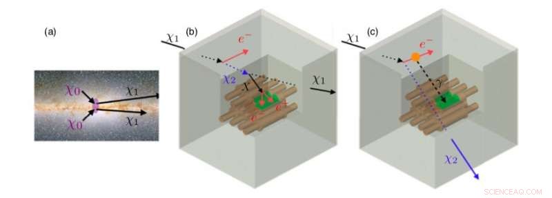 Pioneering Direct Search for Inelastic Boosted Dark Matter Using a Terrestrial Detector