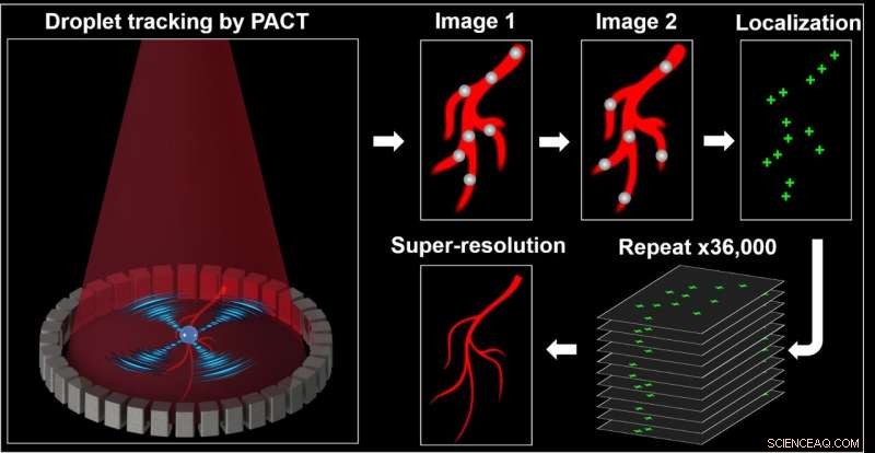 In Vivo Super‑Resolution Photoacoustic CT Using Single‑Dyed Droplet Localization