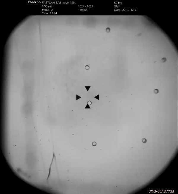 Miniaturized Acoustic Tweezers: Folding an Acoustic Vortex on a Flat Holographic Transducer