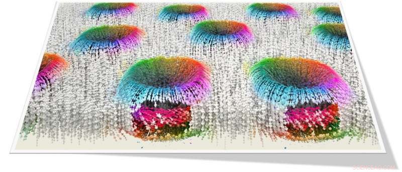 Groundbreaking Observation of Room-Temperature Polar Skyrmions