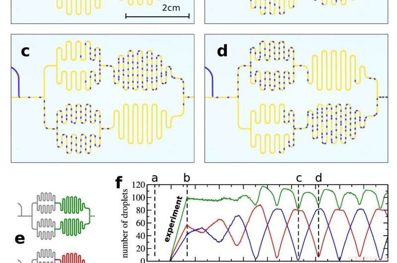 Droplet Trains Unveil Nature’s Efficient Blood Flow Strategy