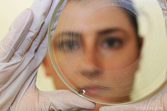 Exploring Plasma Mirrors: Illuminating Ultrafast Laser Interactions