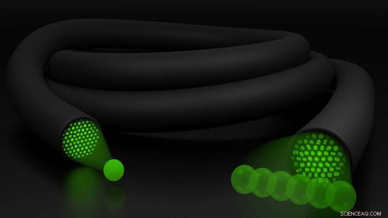 3‑D Optical Biopsies Now Possible with Light‑Field Technology Advances