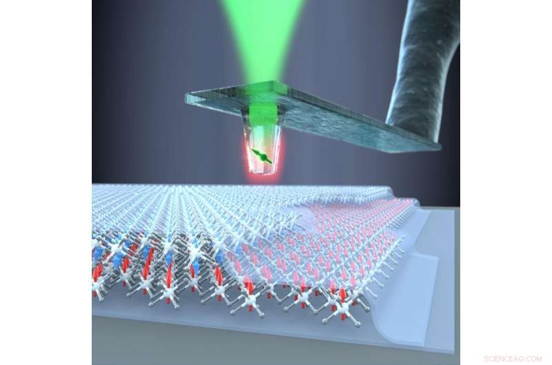 Diamond Quantum Sensors Unlock Spin Patterns in 2D Magnets