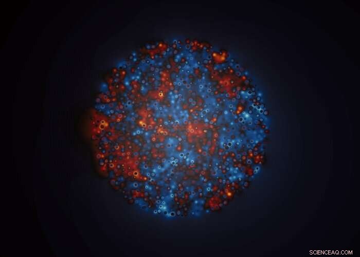 Breakthrough Study Links Electroporation to Cancer Therapy and Battlefield Wound Recovery