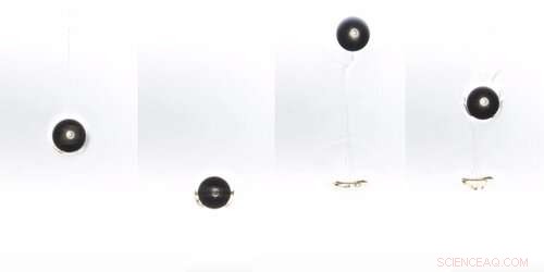 Oil Drop Bounces in Water‑Ethanol Gradient—Science Behind the Phenomenon