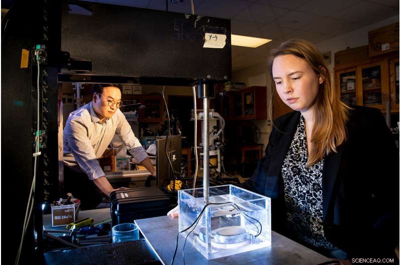 Innovative Non‑Invasive Tissue Therapy Combines Mechanics, Chemistry, and Biomedical Research