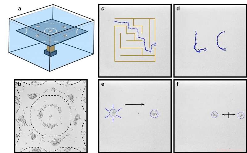 Groundbreaking Experiment Unveils Innovative Particle Manipulation Techniques