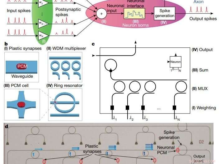 Compact All‑Optical Neural Network Integrated on a Single Photonic Chip