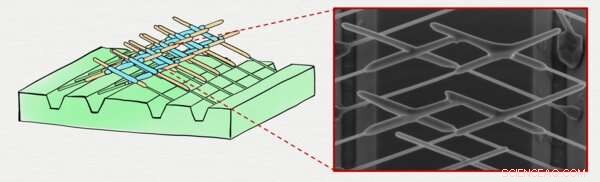 At 28, Advancing the Quest to Unlock Majorana Particle Mysteries