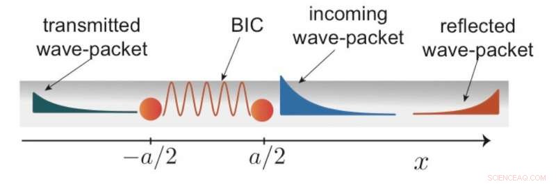 Harnessing Single Photons to Unlock Quantum Physics and Information Science