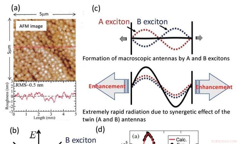 Ultra‑Fast Exciton Emission Outpaces Thermal Dephasing in High‑Quality ZnO Thin Films