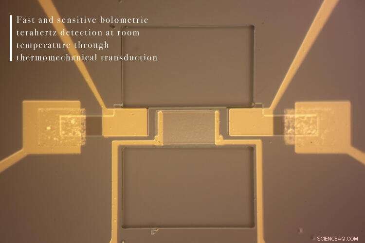 New Thermomechanical Micromachine Detects Terahertz Radiation for Precise Beam Balancing
