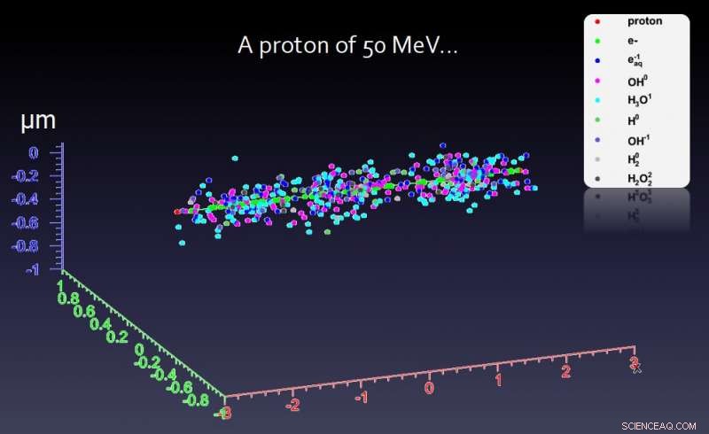 TSU Physicists Investigate Radiation’s Impact on DNA